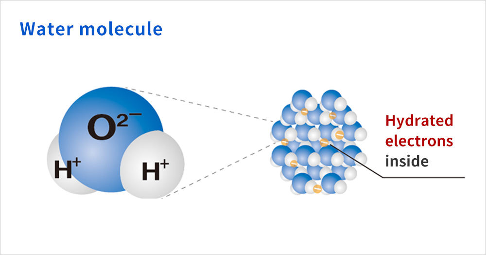 Hydrated Electrons are Located inside Normal Water Molecules