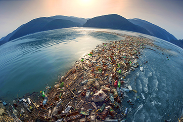 Human produces 275 million tons of plastic wastes annually